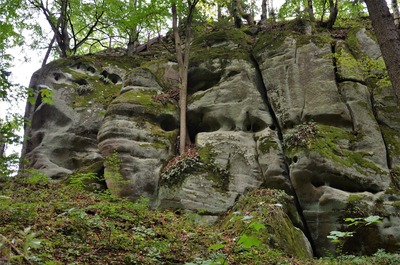 Starozámecký vrch 3