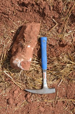 Konkrece rekrystalizovaného vápence s hlízami karneolu.