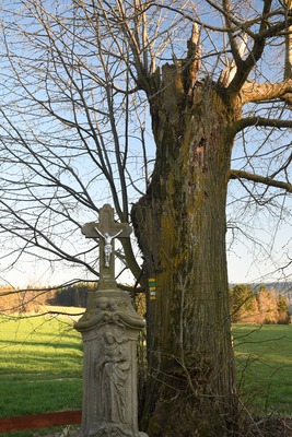 Vambeřickou cestou na Slavný 3