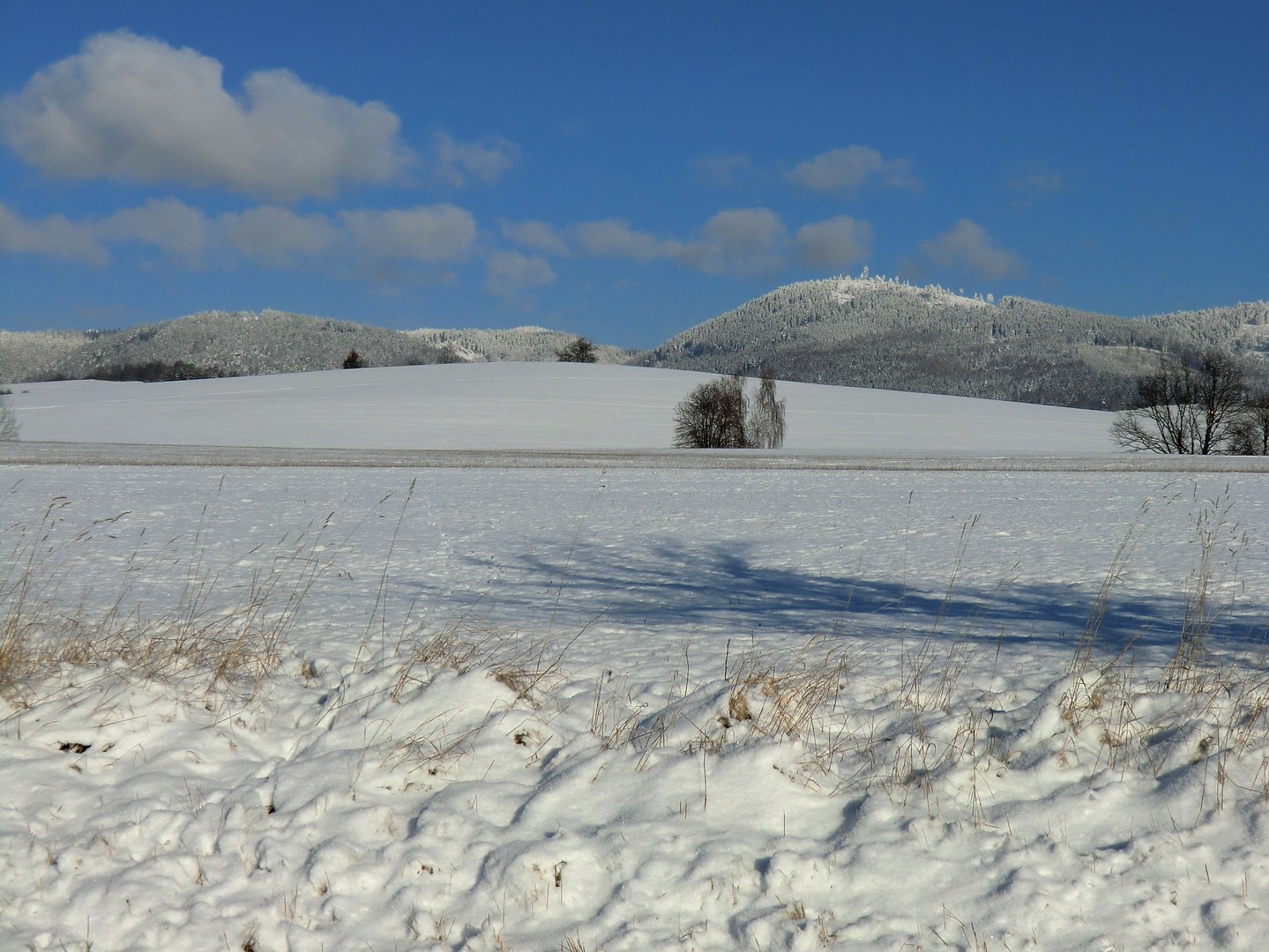 Javoří hory zima 2