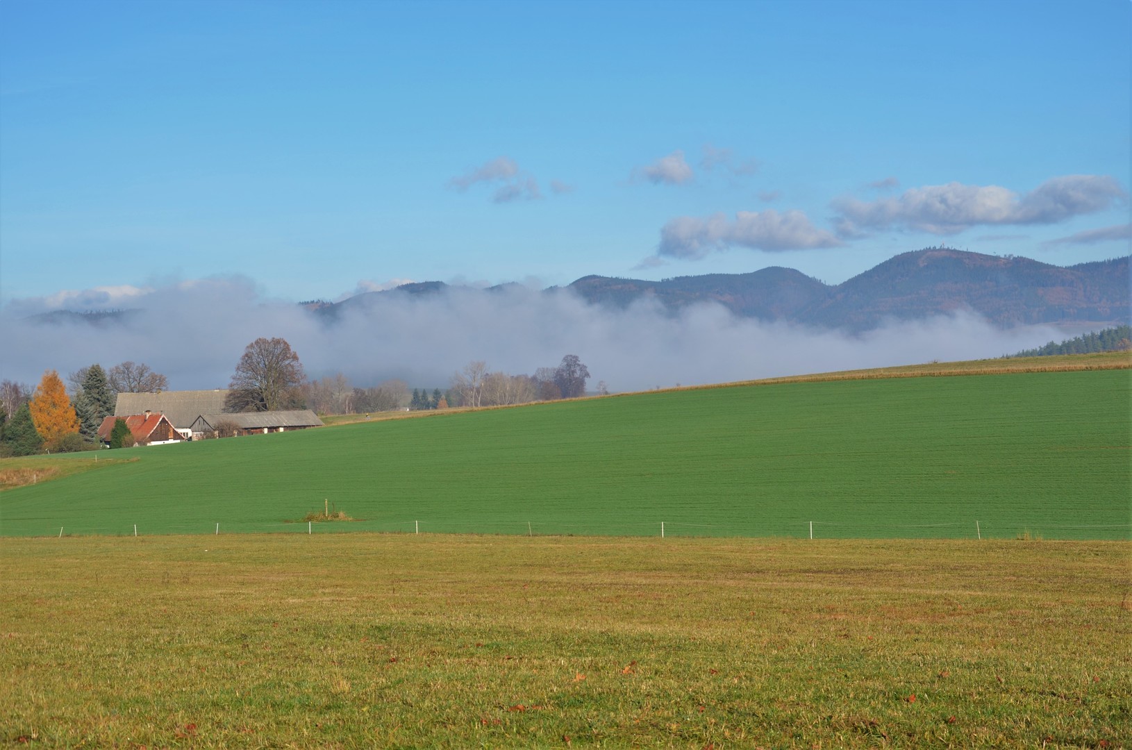 Jetřichov - Javoří hory 1