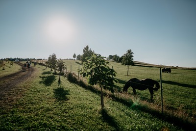 Festival Za poklady Broumovska