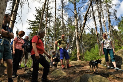 Na hřebenovce nad Hájkovou roklí