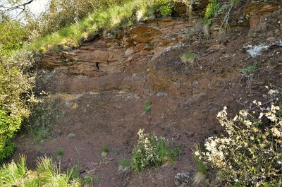 Rožmitálský úvoz