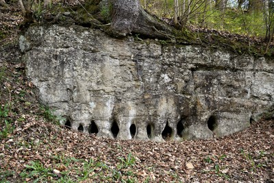 Pískovcové sloupky v České Metuji