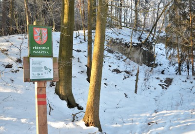 PP Mořská transgrese