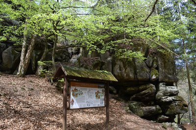 Naučná stezka Skály - Bischofstein