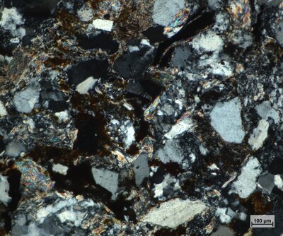 Pískovec se zuhelnatělým organickým materiálem