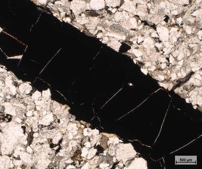 Pískovec se zuhelnatělým organickým materiálem