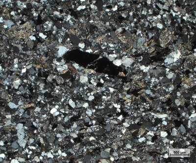 Pískovec se zuhelnatělým organickým materiálem