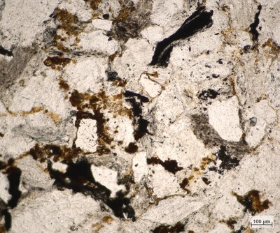 Pískovec se zuhelnatělým organickým materiálem