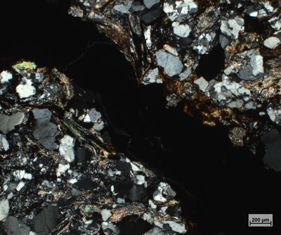 Pískovec se zuhelnatělým organickým materiálem