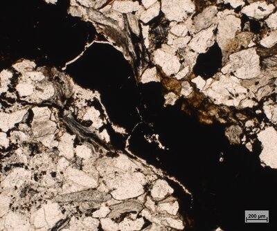 Pískovec se zuhelnatělým organickým materiálem