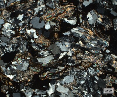 Pískovec se zuhelnatělým organickým materiálem