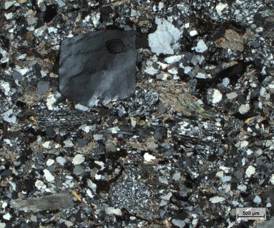 Pískovec se zuhelnatělým organickým materiálem