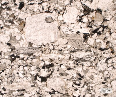 Pískovec se zuhelnatělým organickým materiálem