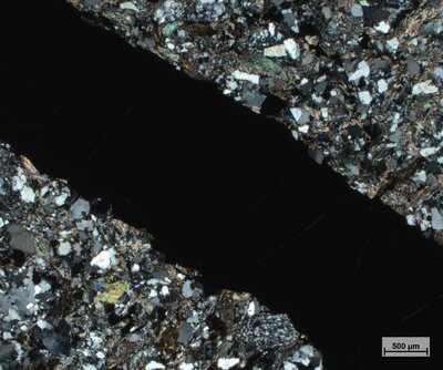 Pískovec se zuhelnatělým organickým materiálem