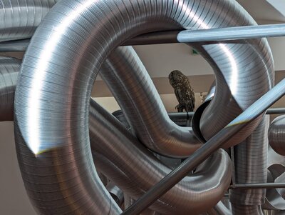 Jan Stolín / Ze dne do noci, foto: RAW