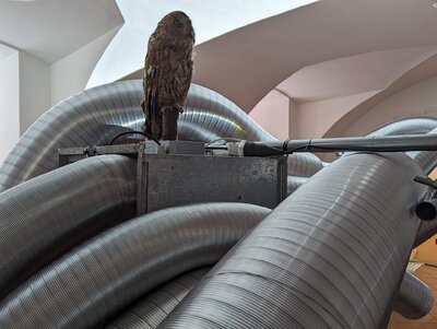 Jan Stolín / Ze dne do noci, foto: RAW