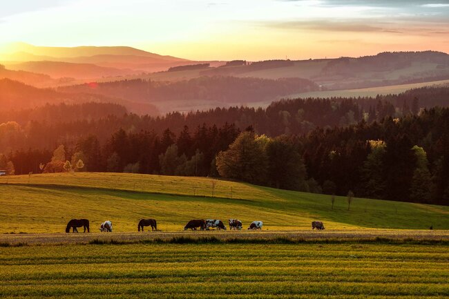 Červenec - srpen 2025