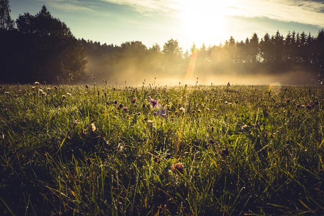 Information centres in the Broumov region