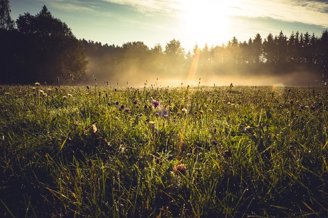 Přeshraniční spolupráce