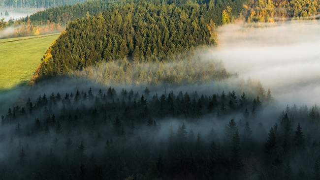 Zprávy a novinky z regionu