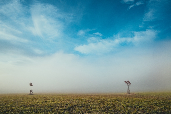 Partneři Společnosti pro destinační management Broumovska, o. p. s.