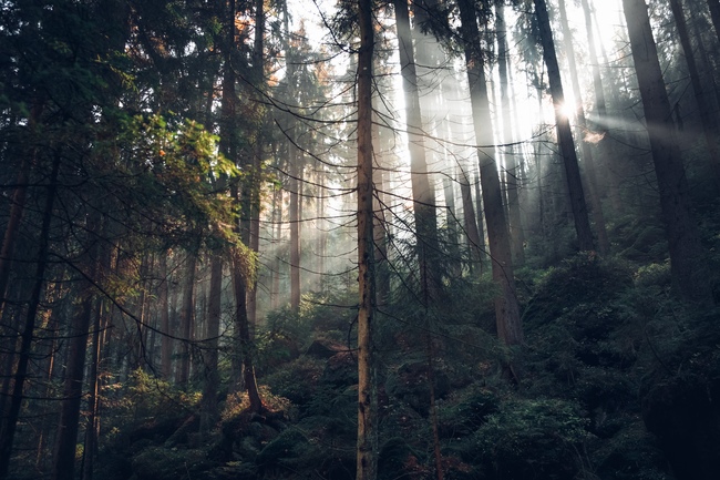 Členové Fondu destinace