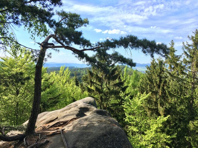 Květen-červen 2024