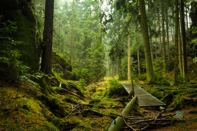 Možnost spolupráce