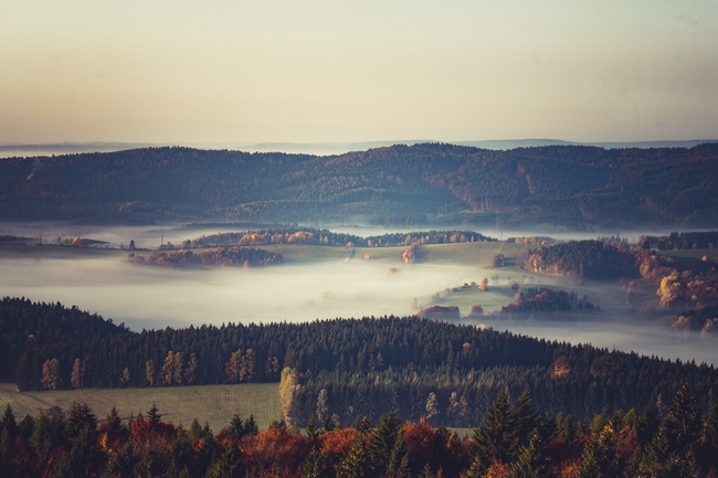 Aktivity společnosti