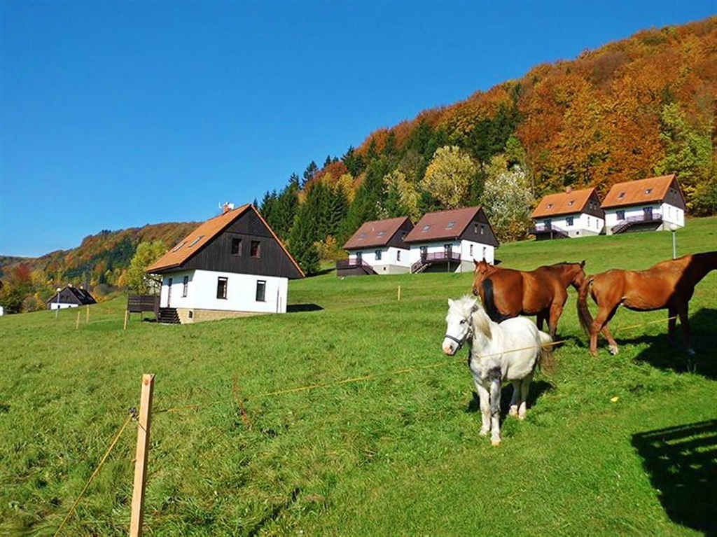 Green Valley park Stárkov