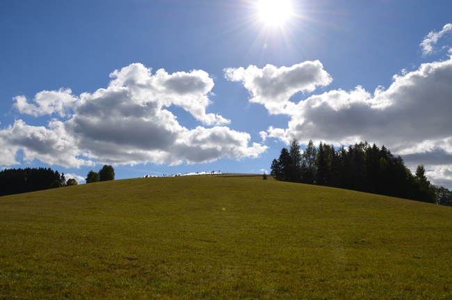 Naučné stezky v Machově