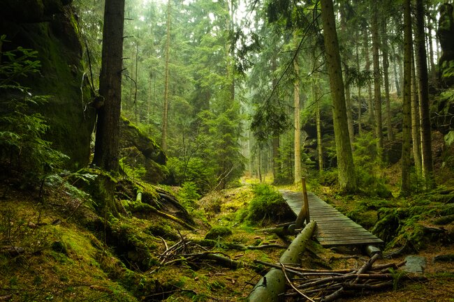 Ze Slavného přes Hájkovu rokli do Suchého Dolu
