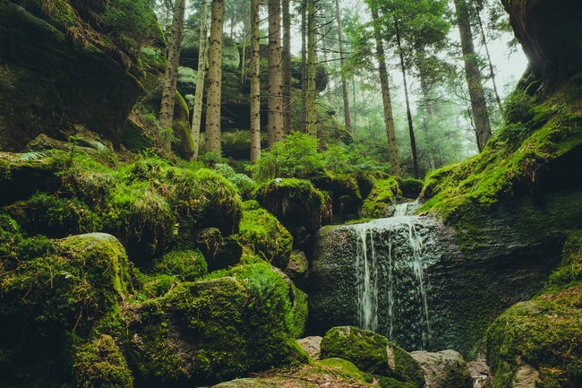 Kiedy pogoda nie sprzyja