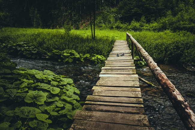 Dálkové pěší trasy