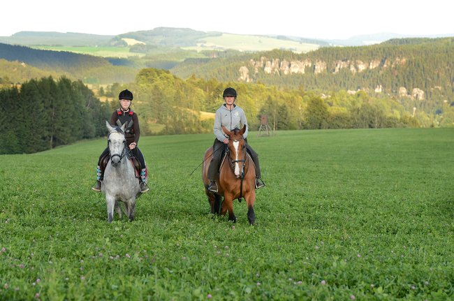 Farmy, kąciki zoologiczne, ujeżdżalnie