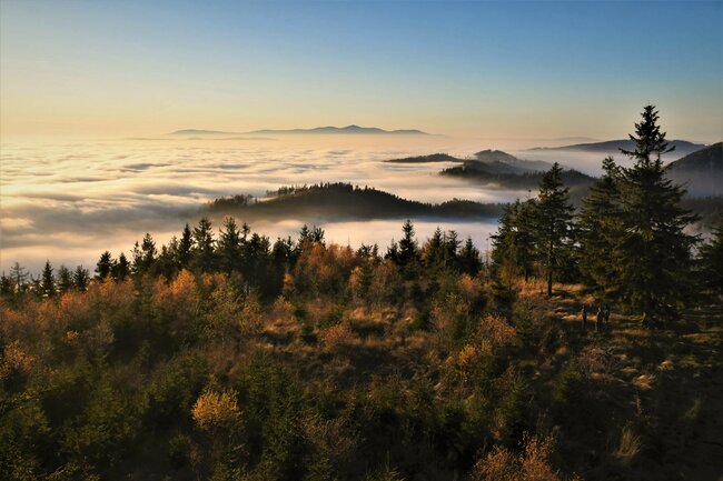 Terénní exkurze s geologem na hřeben Javořích hor