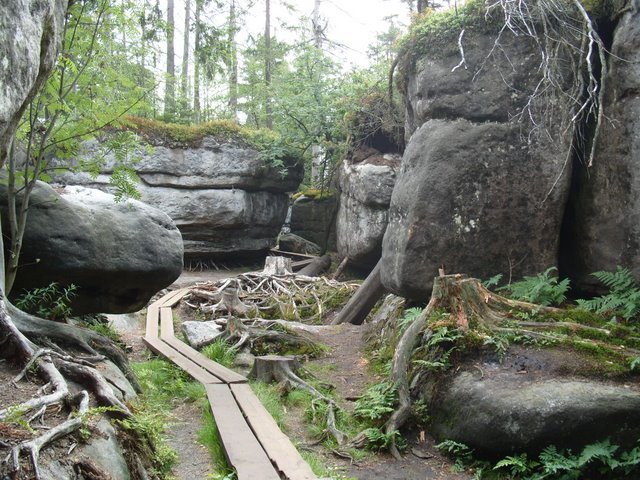 Polská Pstražna z Machova