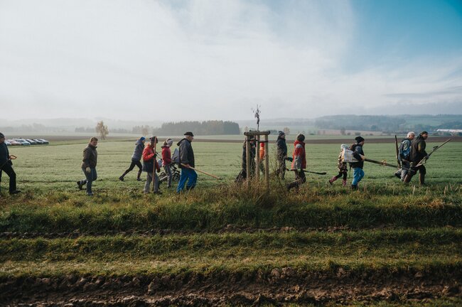 Alej Ostašinka se rozrostla o dalších 50 stromů!