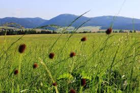 Nenáročná trasa s malým převýšením. Broumov – Meziměstí