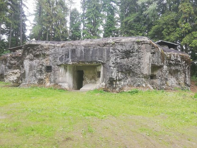 Rekonstrukce na Devatenáctce pokračovaly i v roce 2020