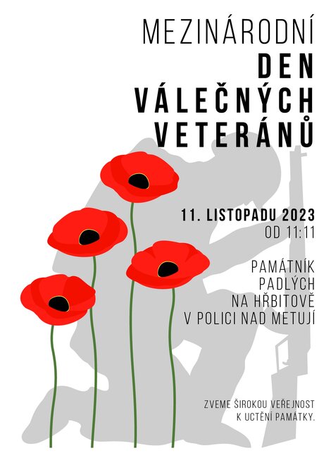 Mezinárodní den válečných veteránů
