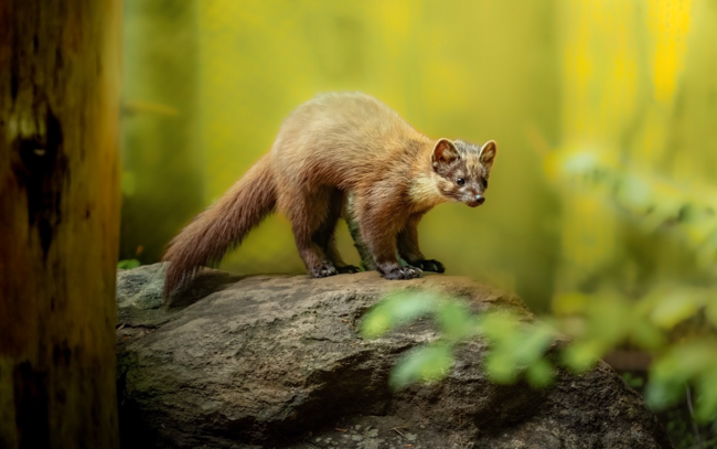 Welcome to Broumov region