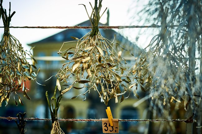 ZRUŠENO: Adventní trh na náměstí a v Dřevěnce