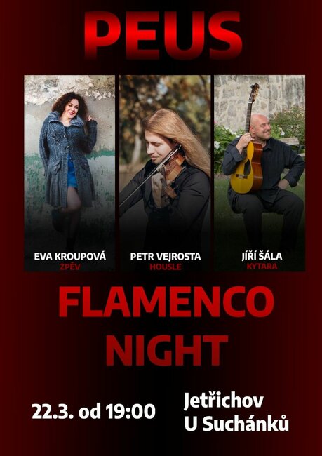 Flamenco night