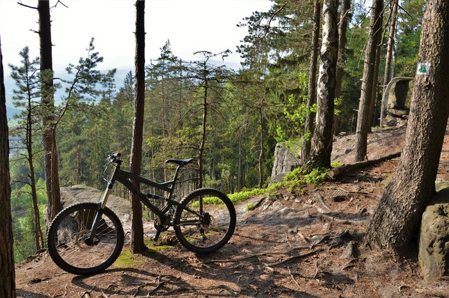 Trasa č. 4004 - Kamenná cesta