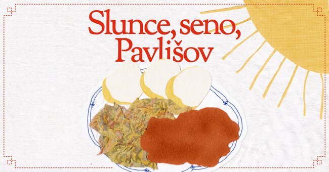 Slunce, seno, Pavlišov