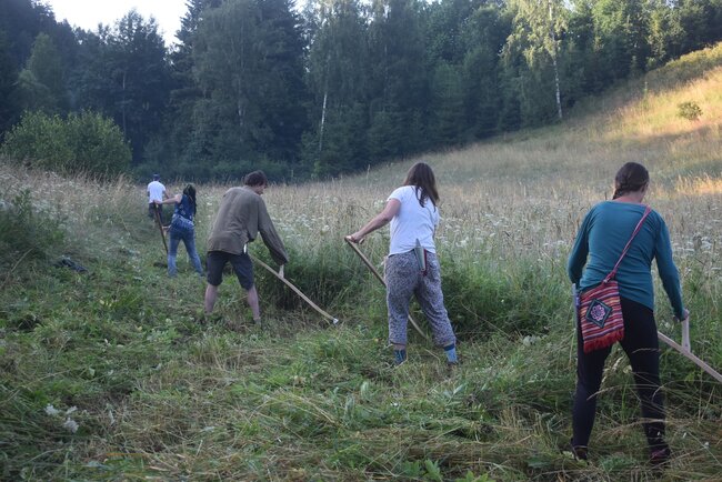 Kosení orchidejové louky